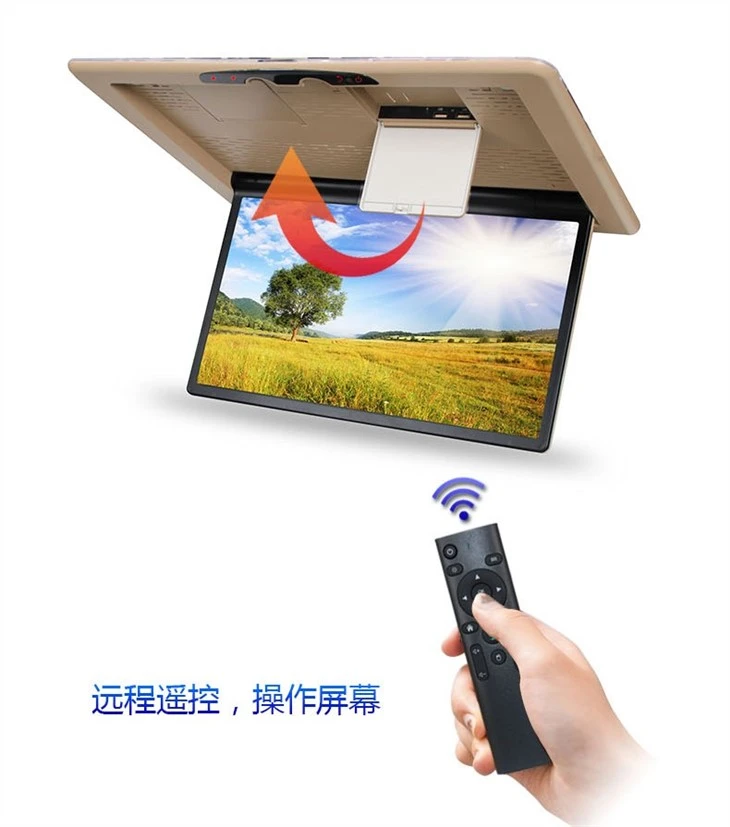 Car Flip Down Monitor