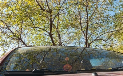 Proč je přední sklo automobilu skloněné?